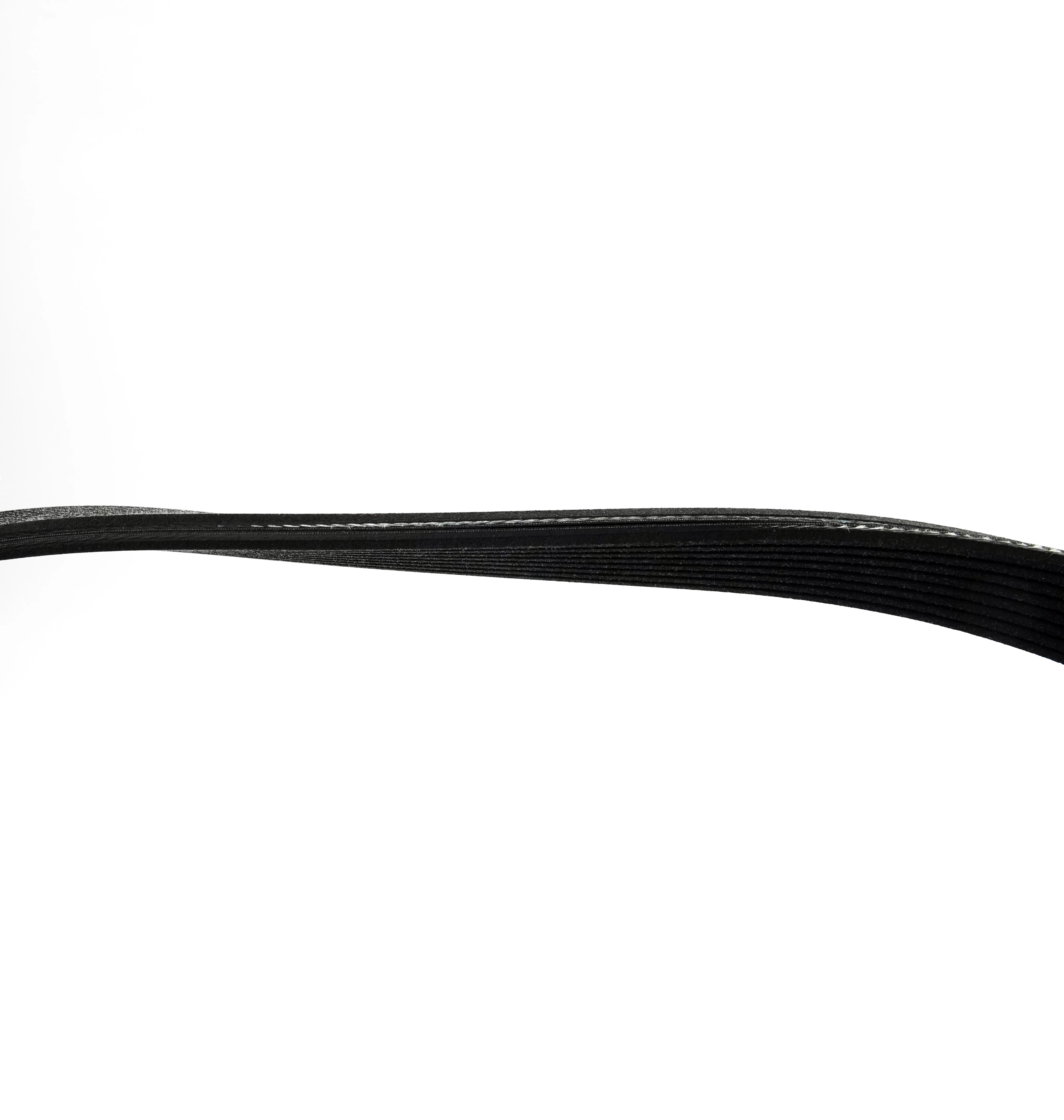 Belt 3911568 3929330 C3288790 (8PK/1443) Compatible with Cummins Engine 4BT 6BT 6CT 6LTA